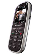 Best available price of Motorola WX288 in Azerbaijan