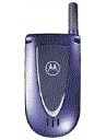 Best available price of Motorola V66i in Azerbaijan